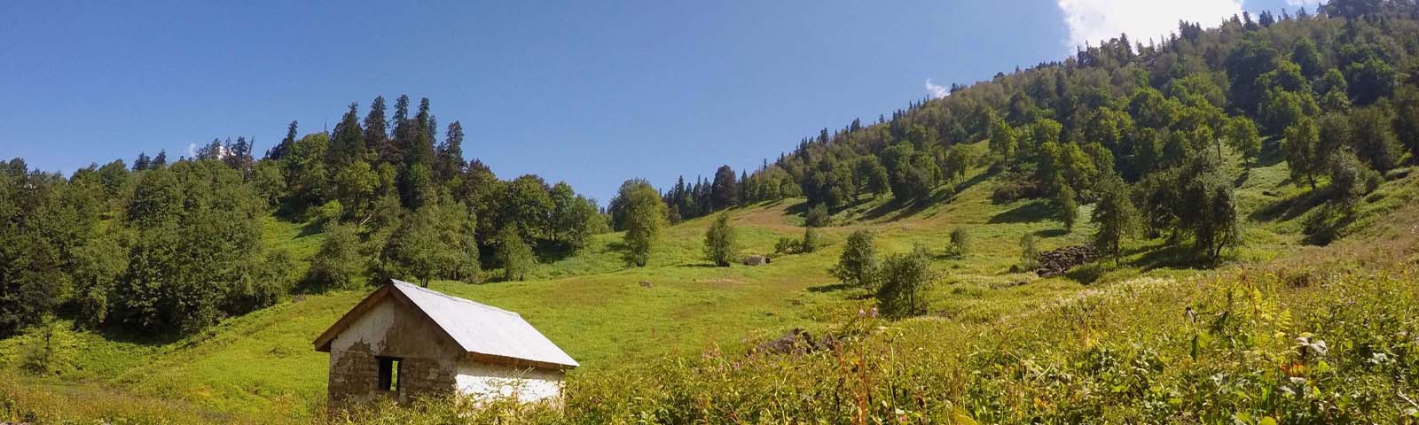 Large Gallery Image