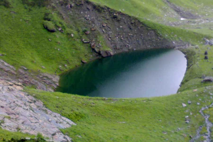 Large Gallery Image